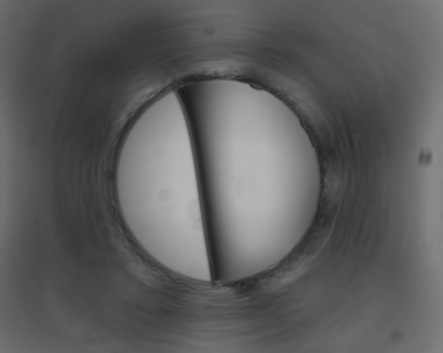 X0000096630403200802050939