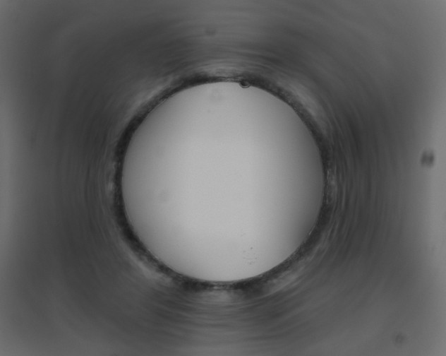 X0000096630404200802050939