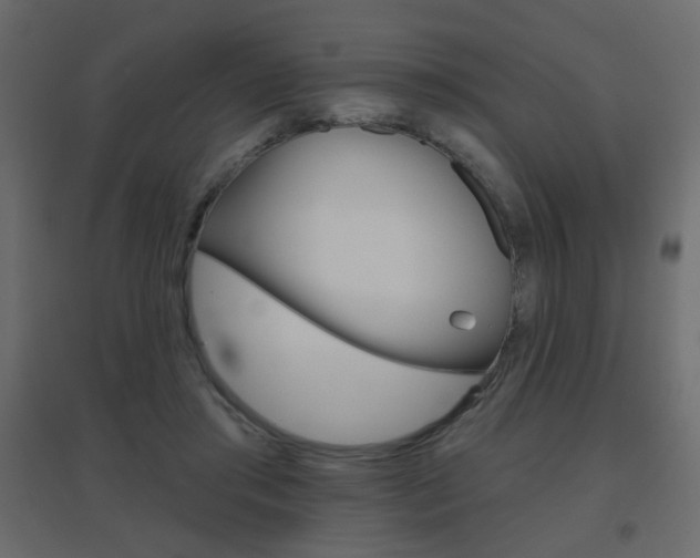 X0000096630405200802050939