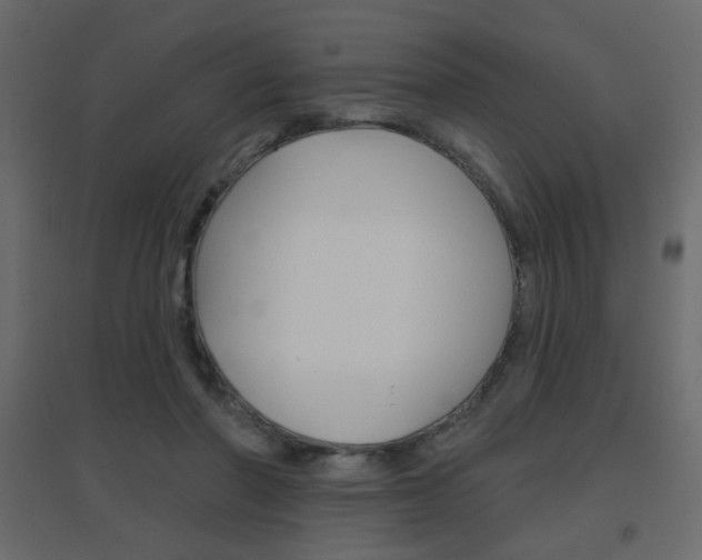 X0000096630406200802050939