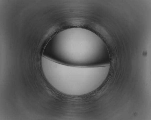 X0000096630407200802050939