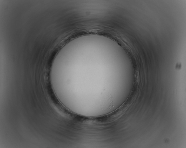 X0000096630408200802050939