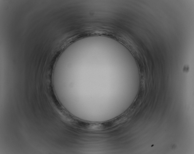 X0000096630410200802050939