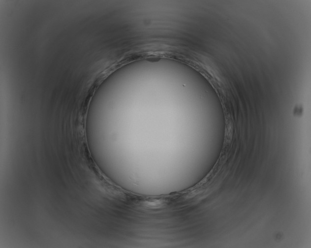 X0000096630411200802050939