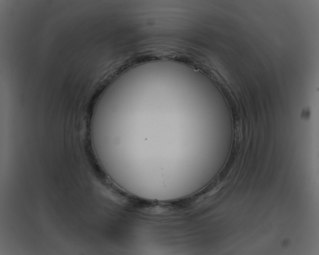 X0000096630412200802050939