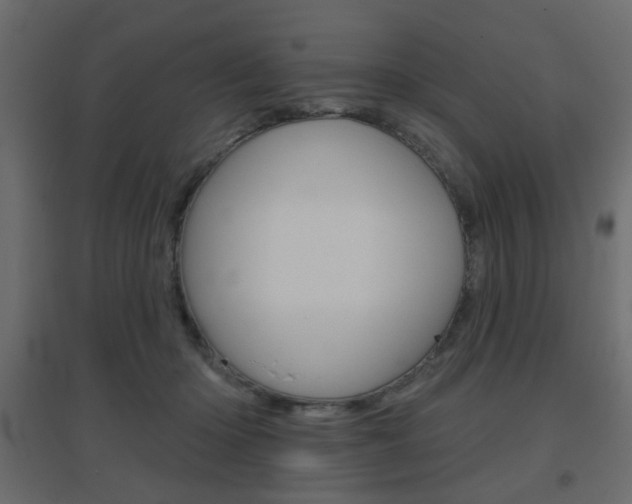 X0000096630414200802050939