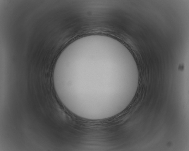 X0000096630415200802050939