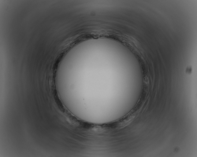 X0000096630416200802050939
