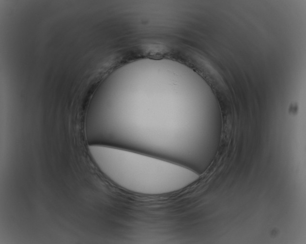 X0000096630417200802050939
