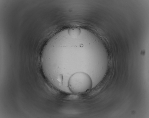 X0000096630418200802050939