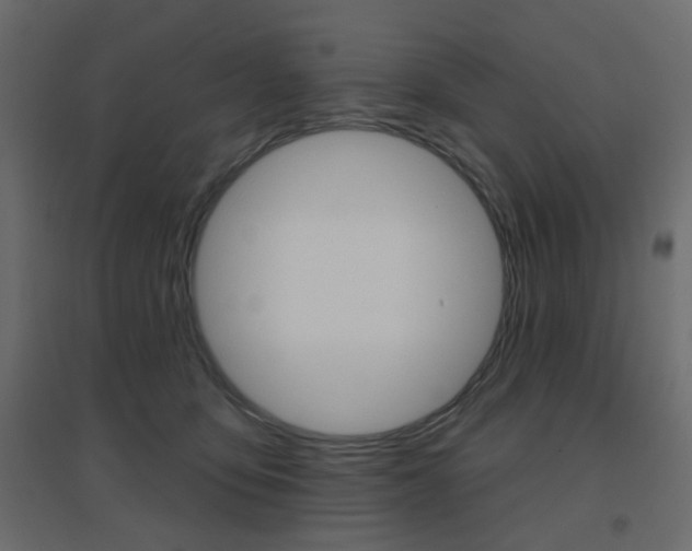 X0000096630419200802050939