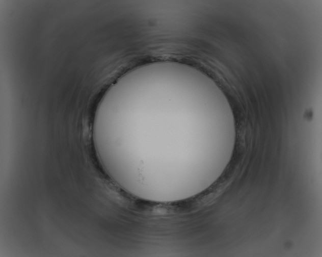 X0000096630420200802050939