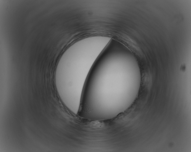 X0000096630421200802050939