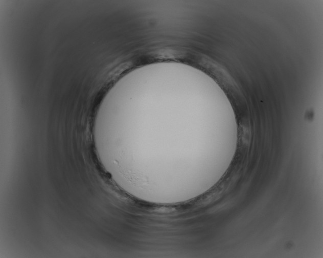 X0000096630422200802050939