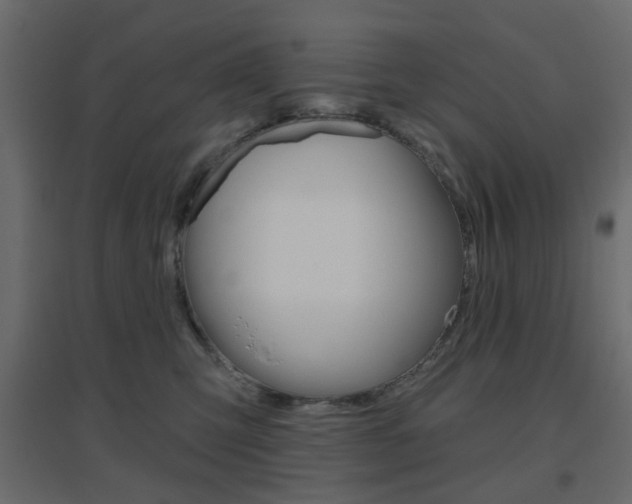 X0000096630423200802050939