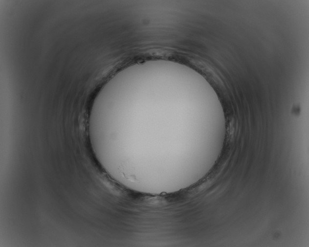 X0000096630424200802050939