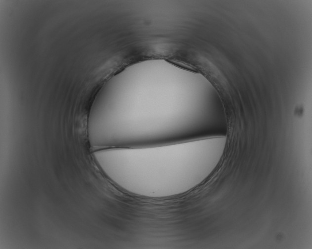 X0000096630425200802050938