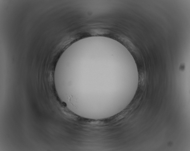 X0000096630426200802050938