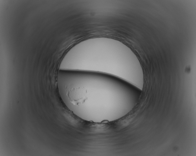 X0000096630428200802050938