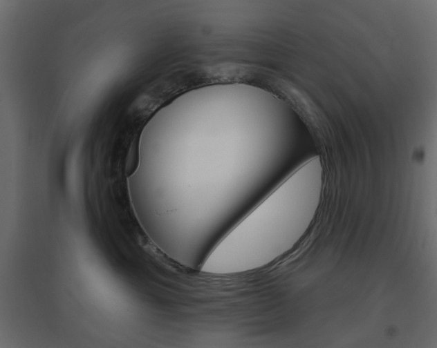 X0000096630429200802050938
