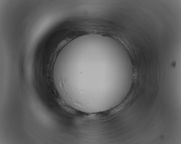 X0000096630430200802050938