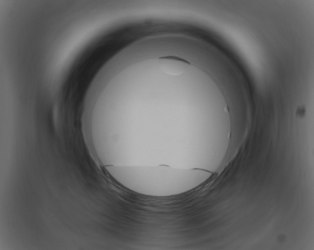 X0000096630431200802050938