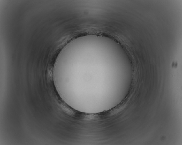 X0000096630432200802050938