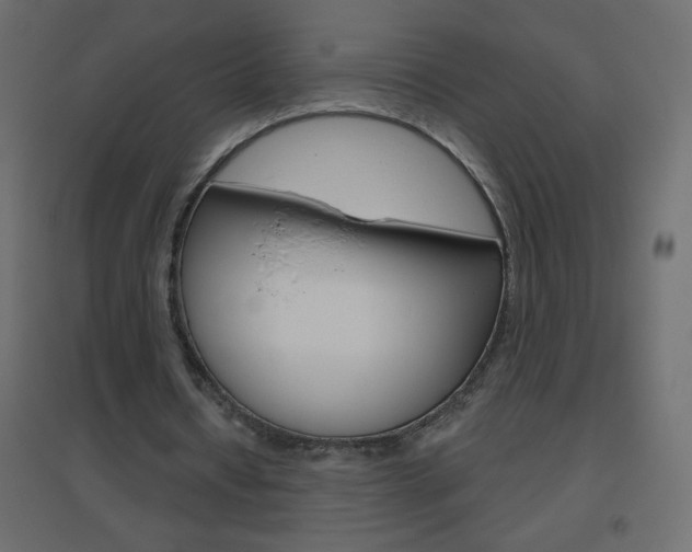 X0000096630434200802050938