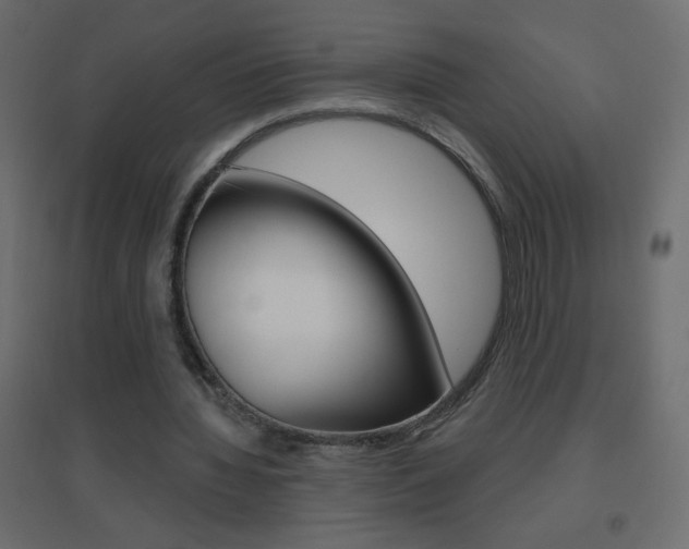X0000096630436200802050938