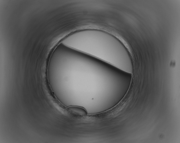 X0000096630437200802050938