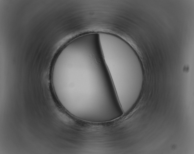 X0000096630438200802050938