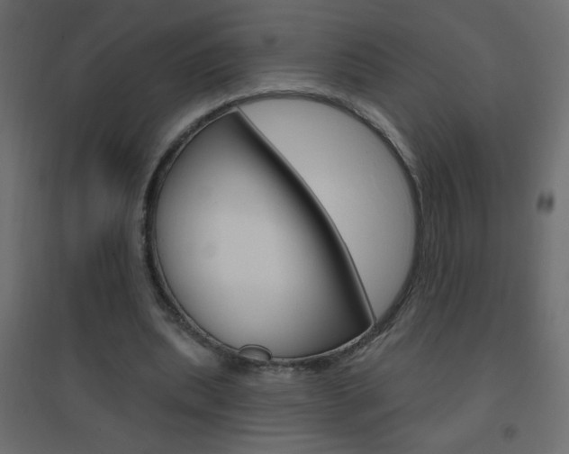 X0000096630439200802050938