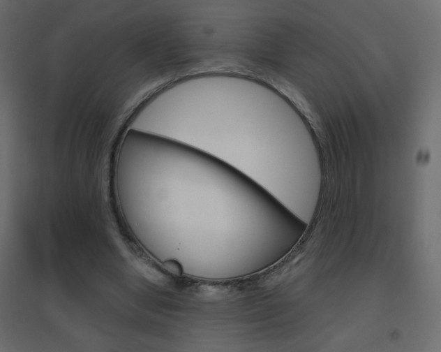 X0000096630442200802050938