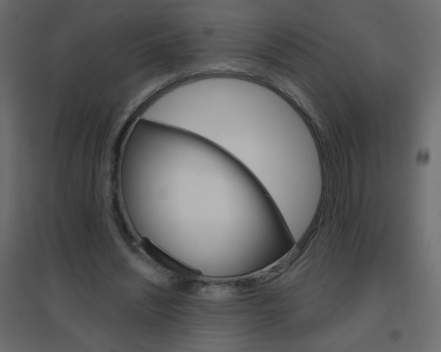 X0000096630444200802050938