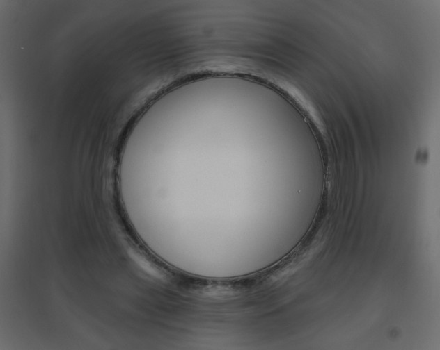 X0000096630445200802050938