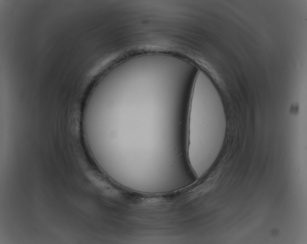 X0000096630446200802050938