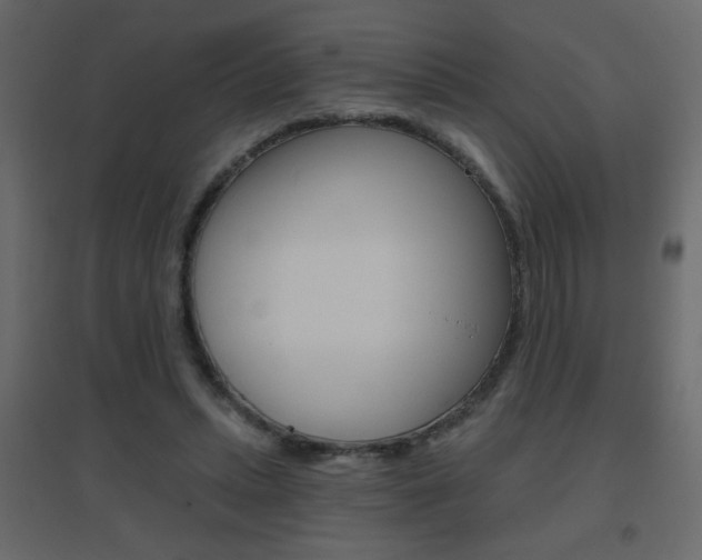 X0000096630447200802050938