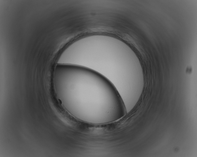 X0000096630448200802050938