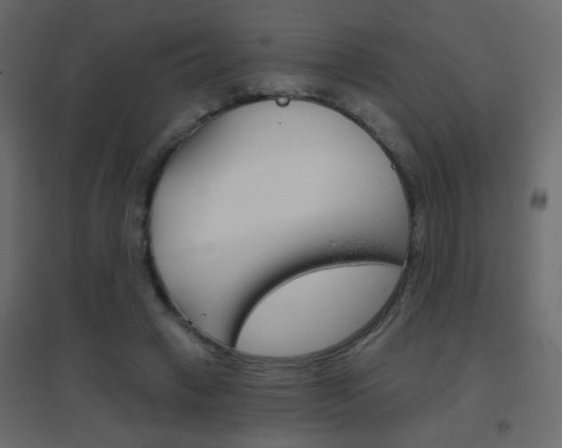 X0000096630449200802050938