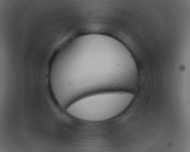X0000096630450200802050938
