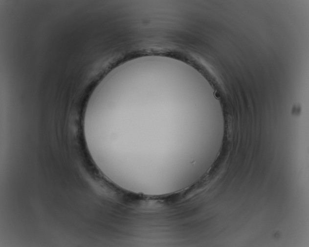 X0000096630451200802050938