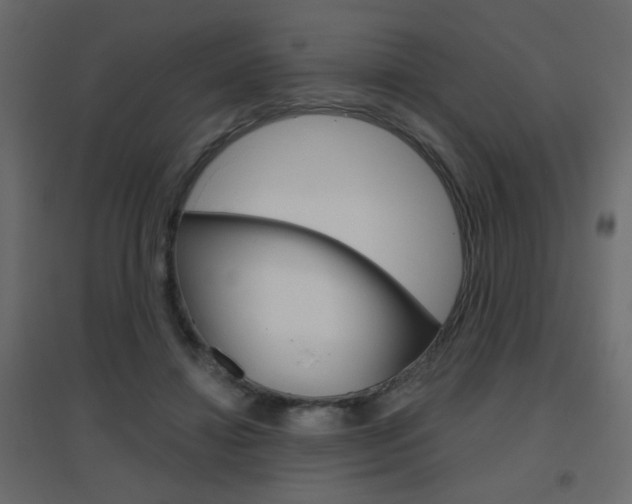 X0000096630452200802050938