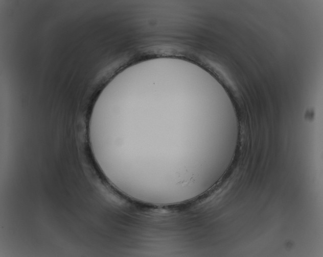 X0000096630453200802050938