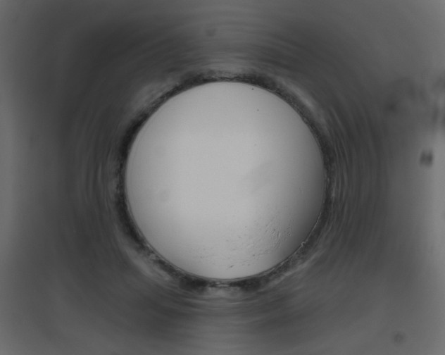 X0000096630455200802050938