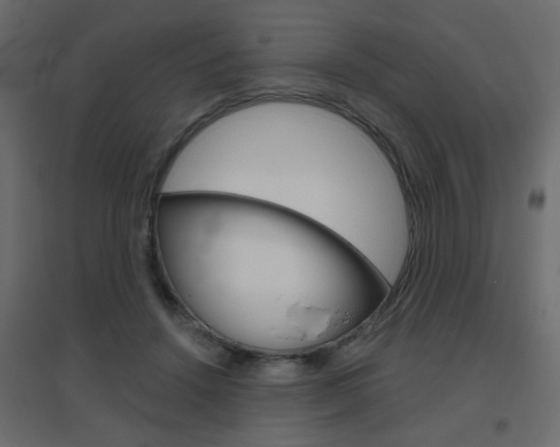 X0000096630456200802050938