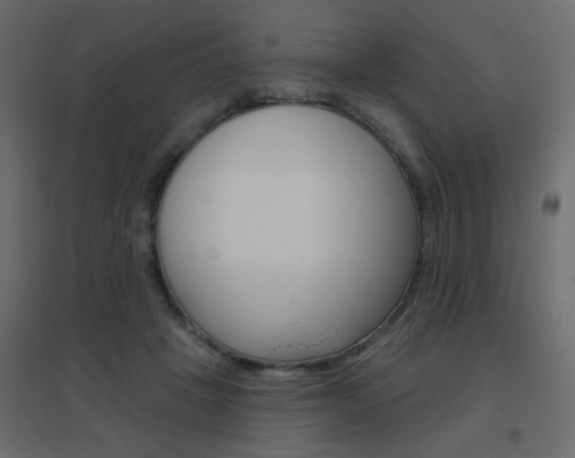 X0000096630457200802050938