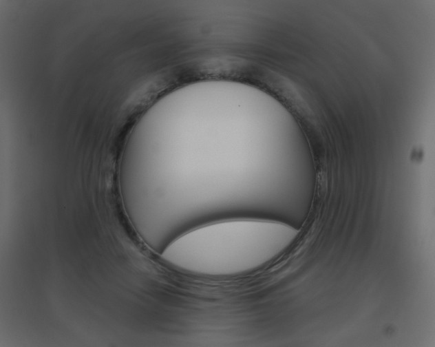 X0000096630458200802050938