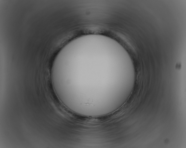 X0000096630459200802050938