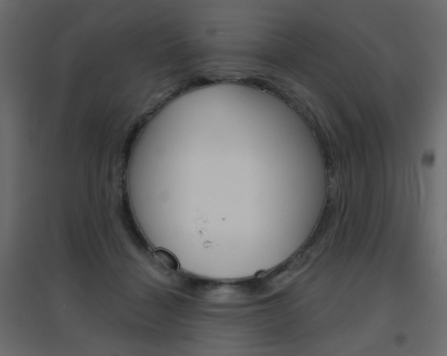 X0000096630460200802050938