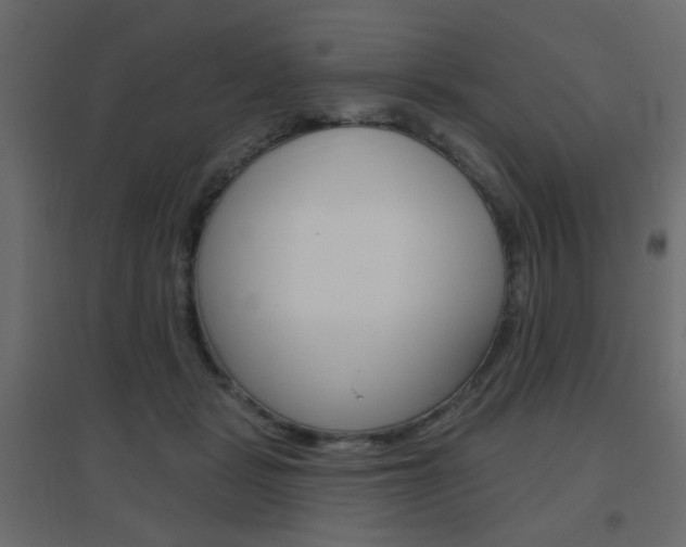 X0000096630461200802050938